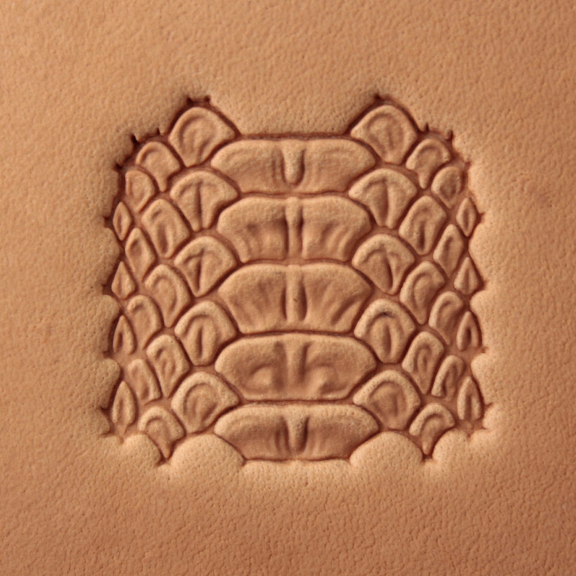 Leather Stamp Tool - Python Skin #395BB - SpasGoranov