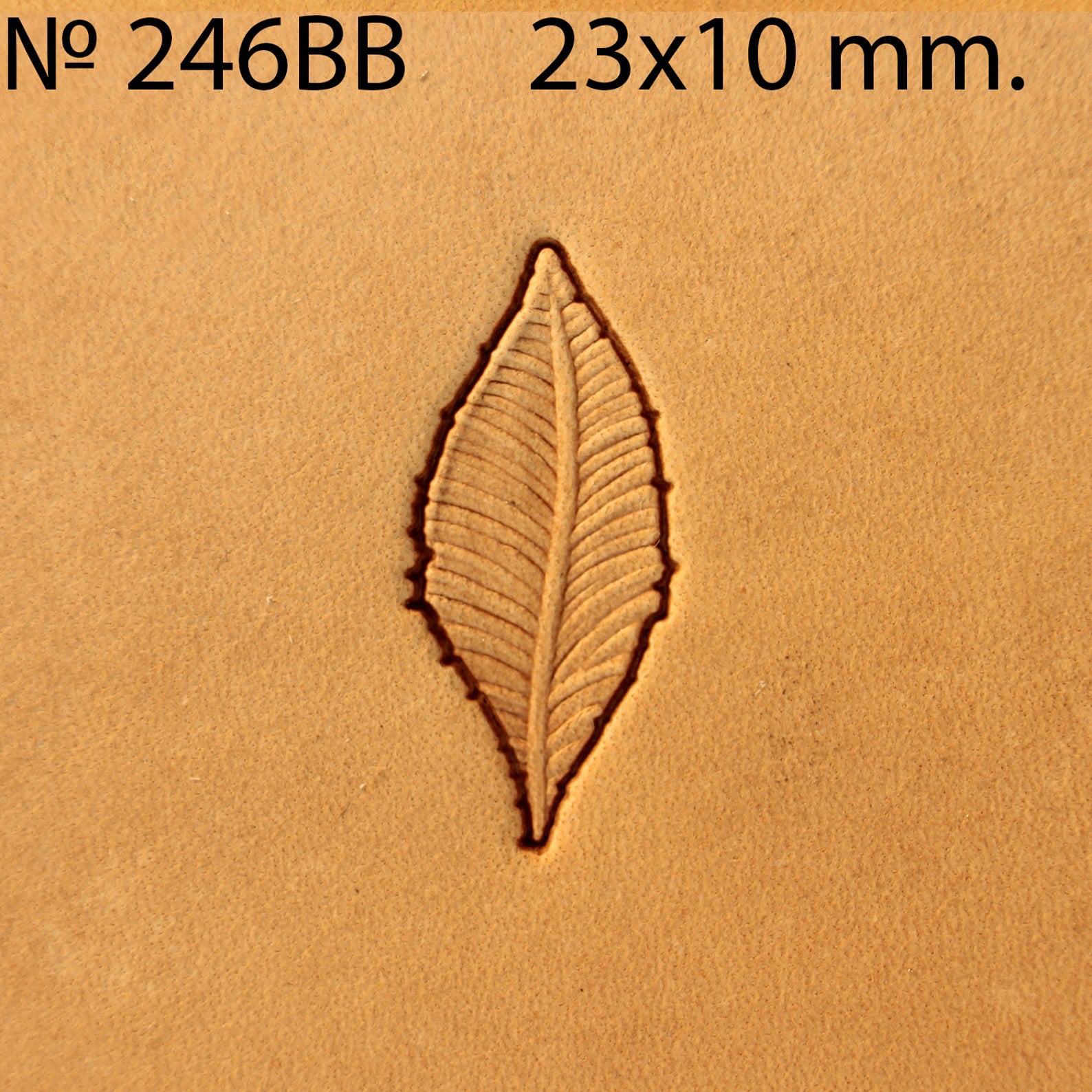 Leather stamp tool #246BB - SpasGoranov