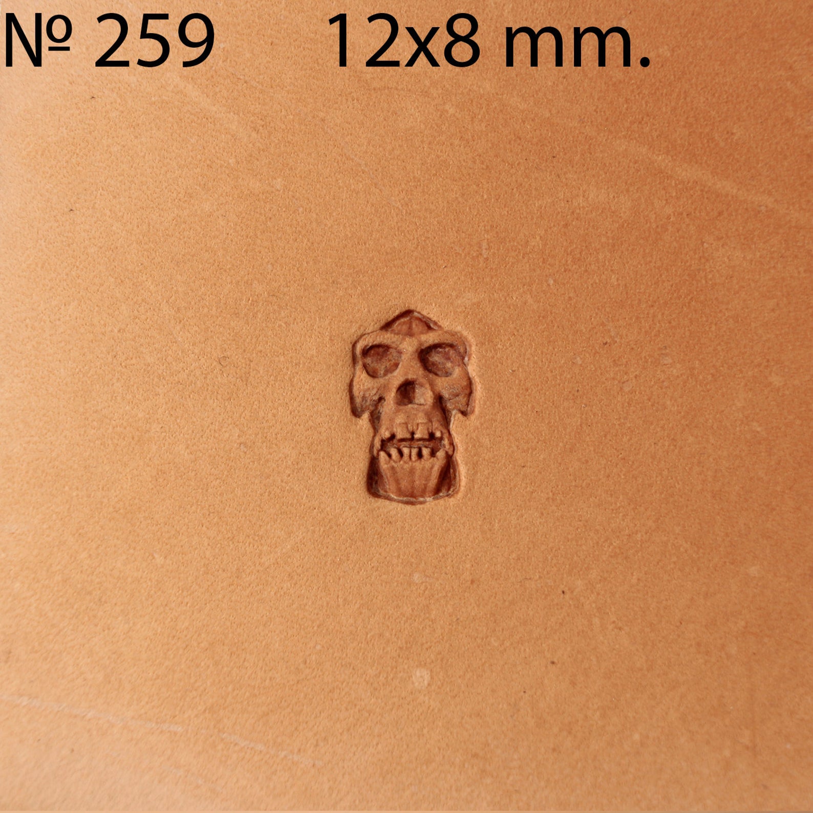 Leather stamp tool #259 - SpasGoranov